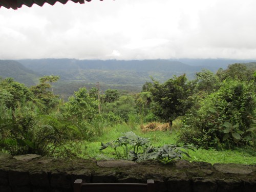 View from Sachatamia Lodge