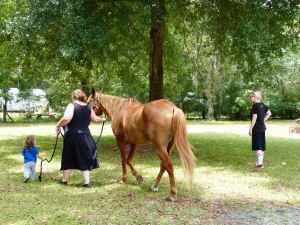 Liz watches Casey and Debbie take Charlie for a walk