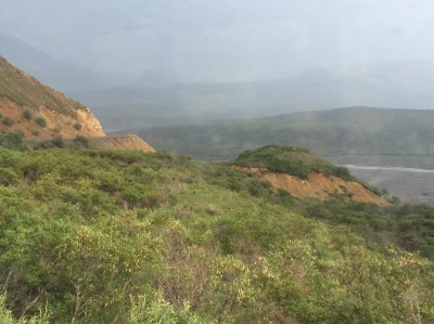 Denali National Park