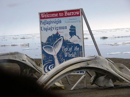 To the Top of the World