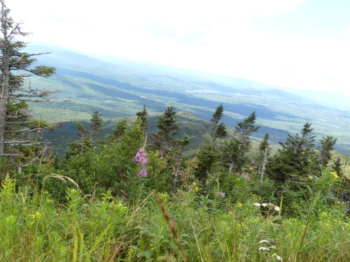 Another scenic view from the road up Whiteface Mountain