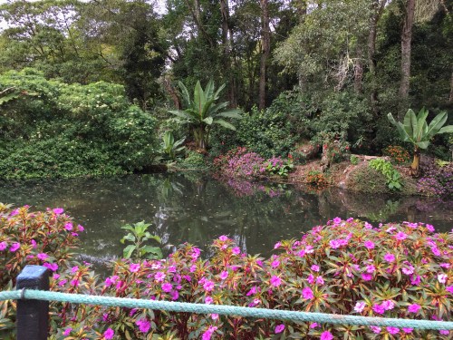 Garden at Savegre Hotel