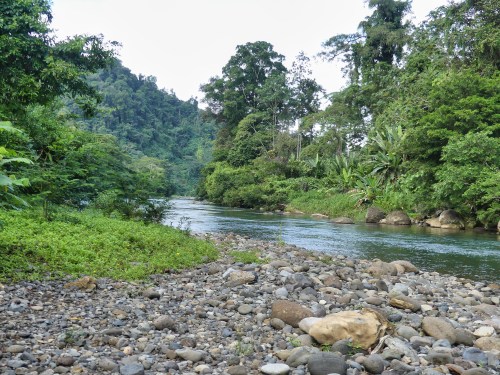 The beautiful Yorkin River