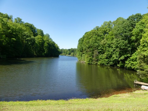 Canvasback Lake, the largest of our three neighborhood lakes. I've seen quite a few species of ducks on our lakes, but never a Canvasback.